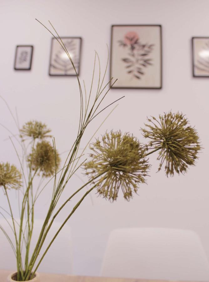 Cuenca Home Dış mekan fotoğraf